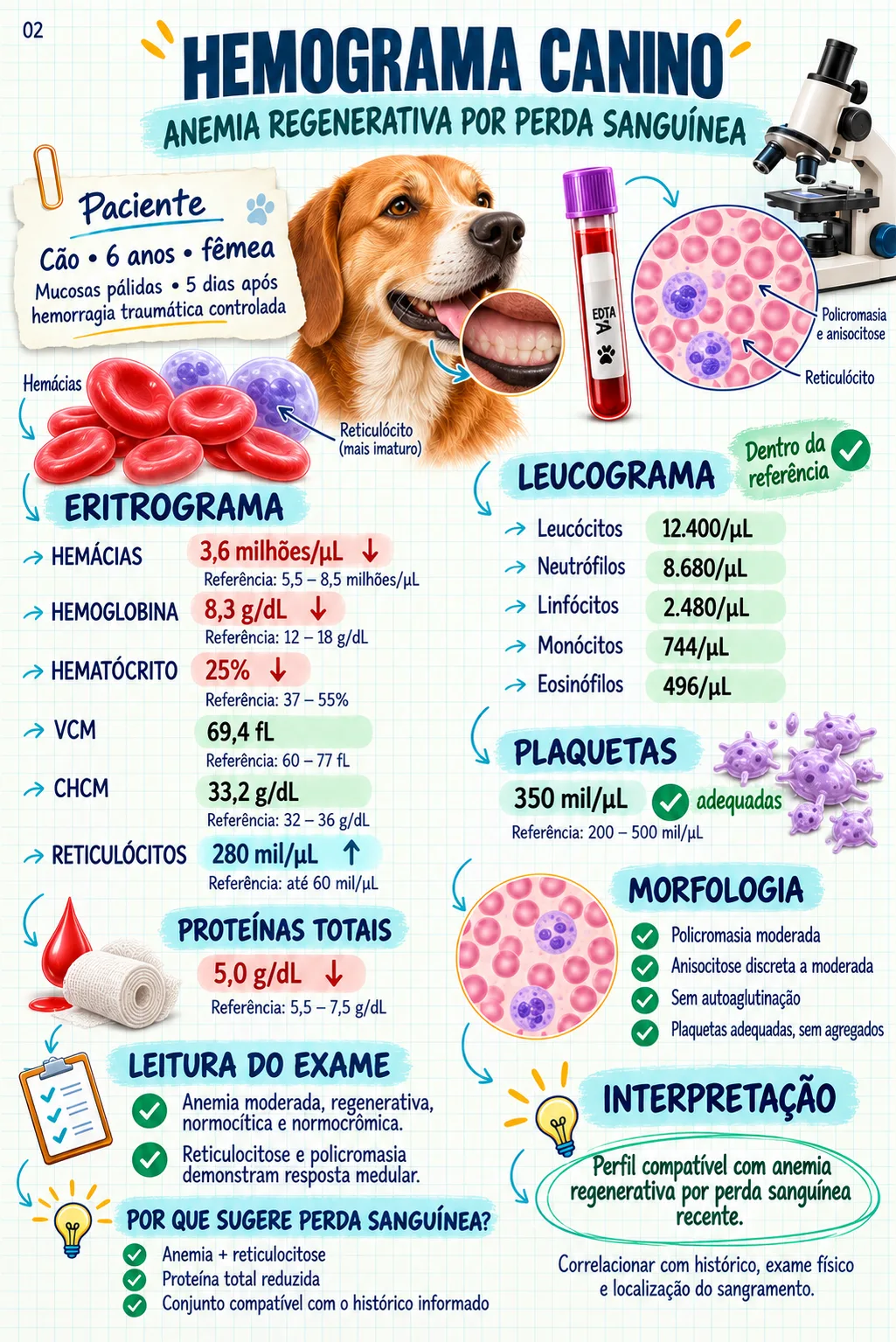 Exame veterinário comentado — hemograma canino