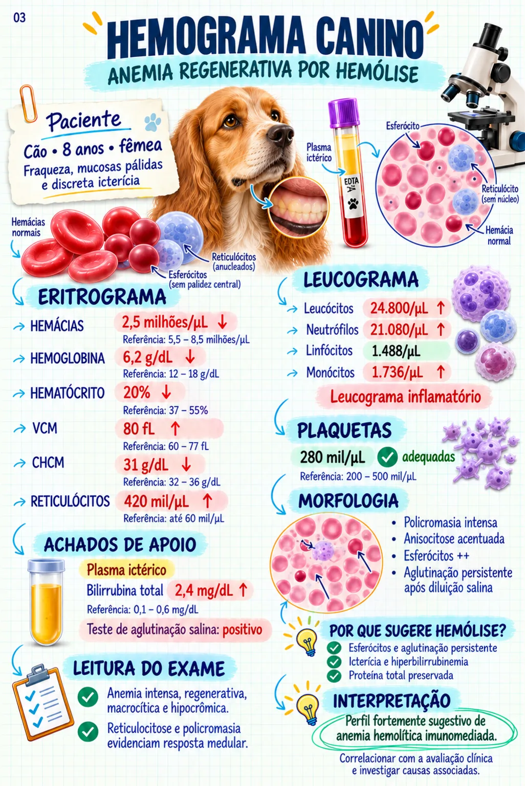 Exame veterinário comentado — hemograma canino