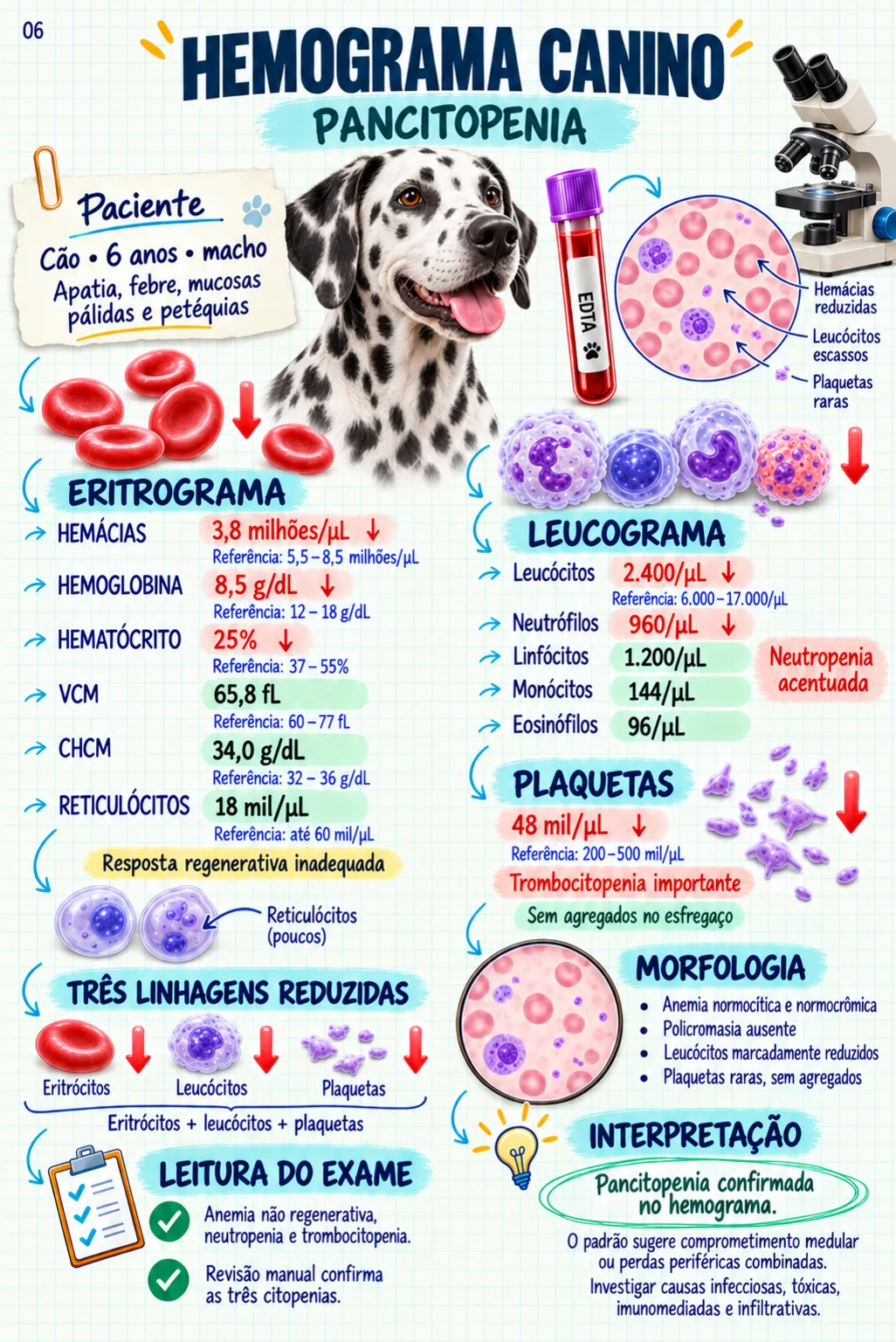 Exame veterinário comentado — hemograma canino