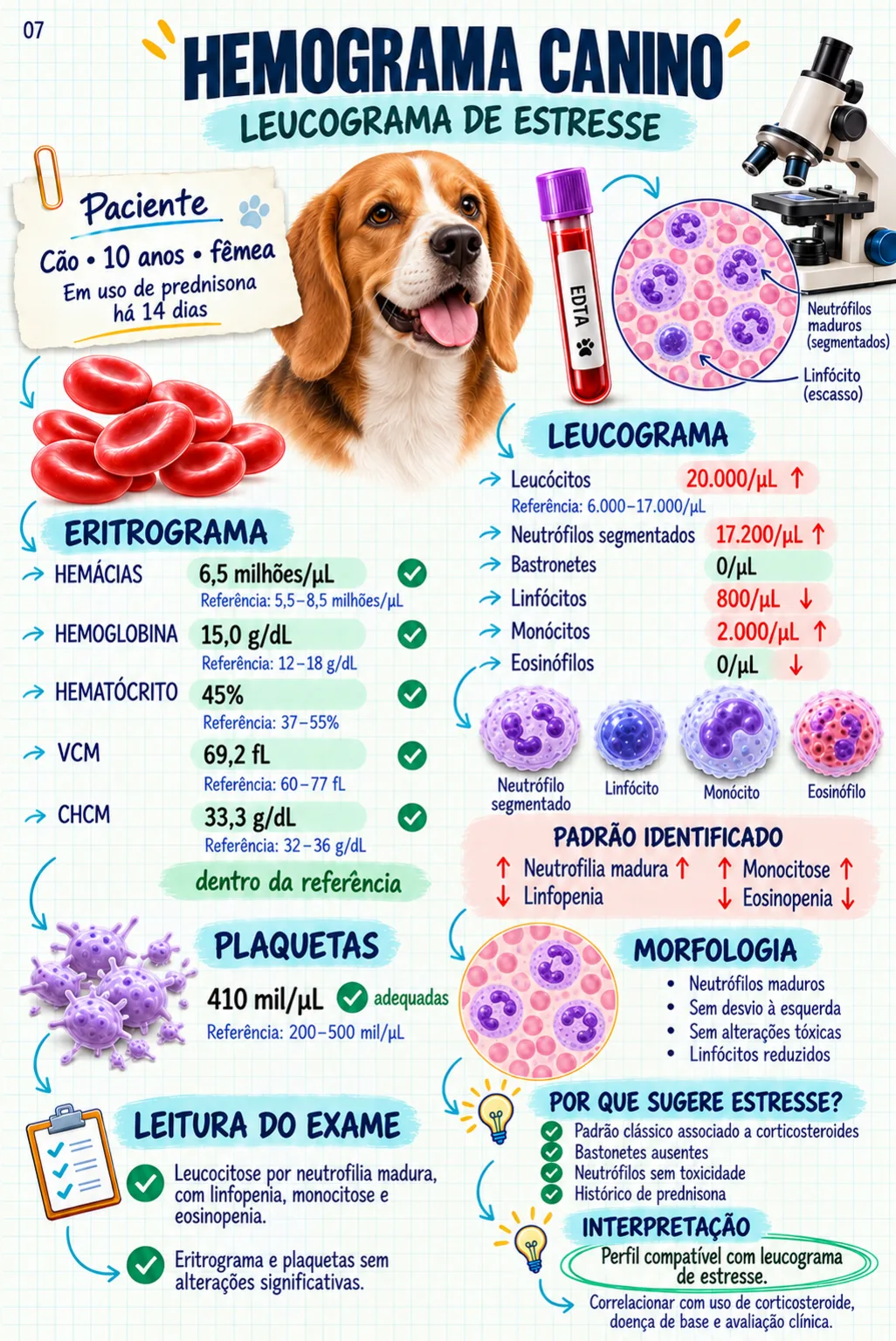 Exame veterinário comentado — hemograma canino