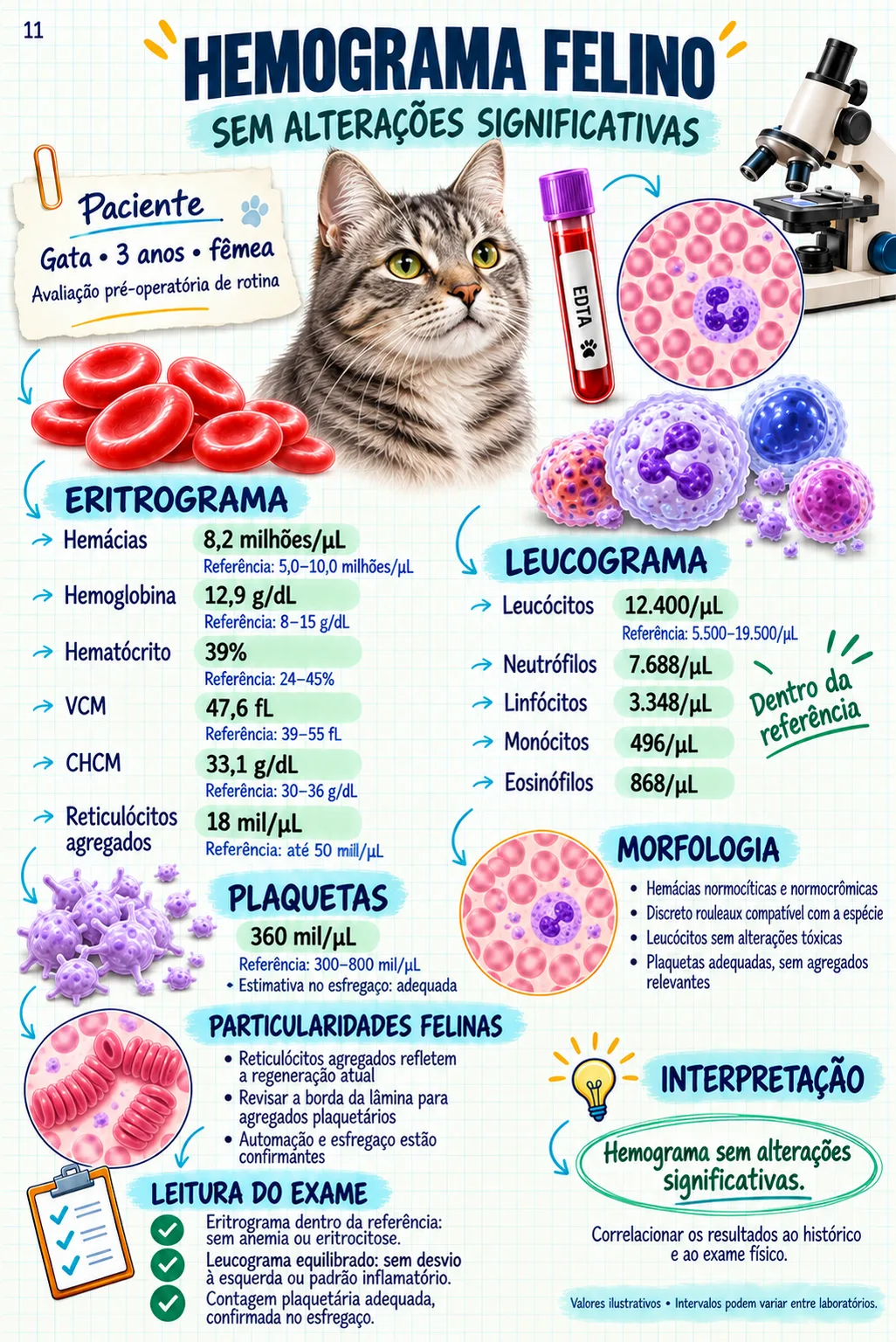 Exame veterinário comentado — hemograma felino