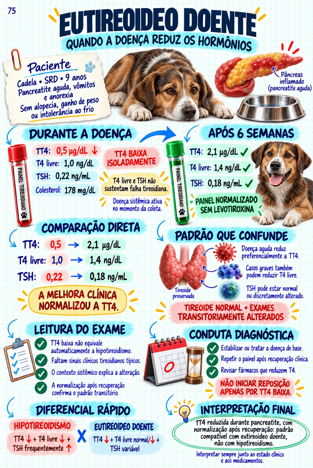 Prévia do material de Exames Veterinários