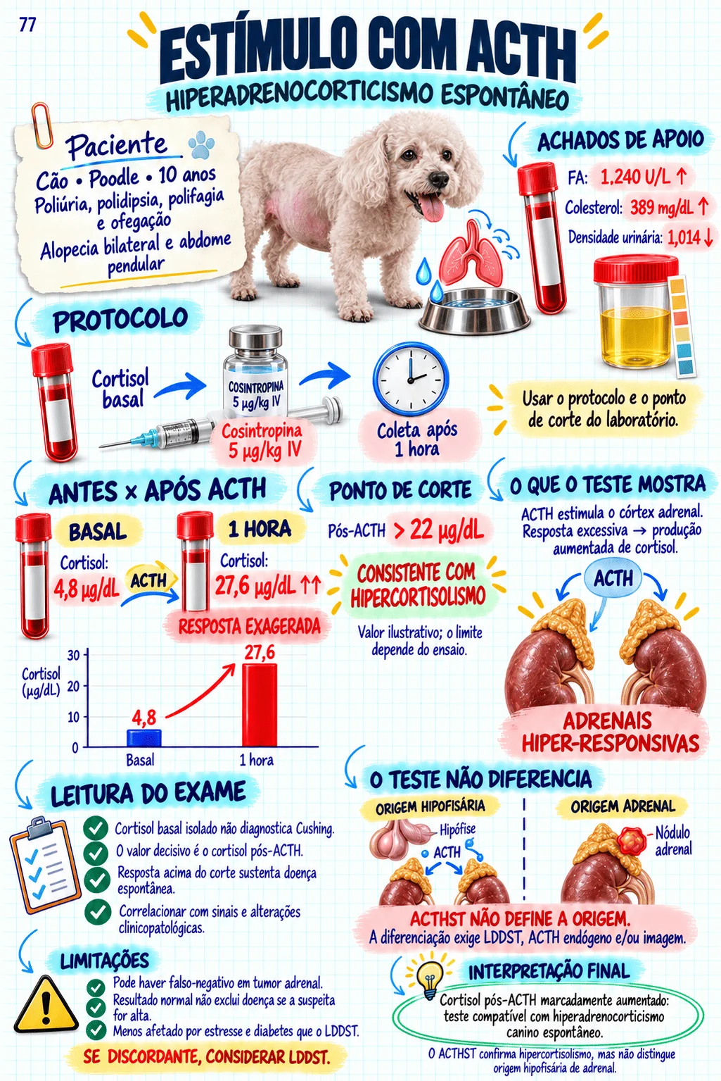 Prévia do material de Exames Veterinários