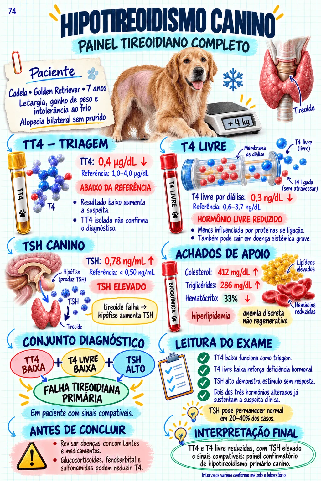Prévia do material de Exames Veterinários