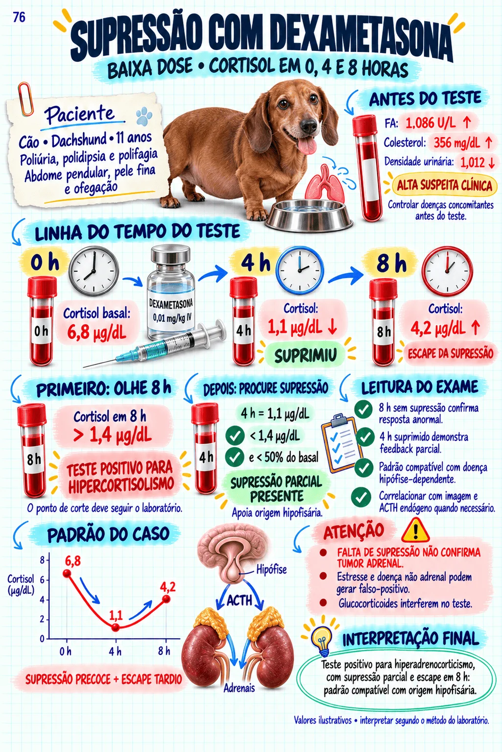 Prévia do material de Exames Veterinários
