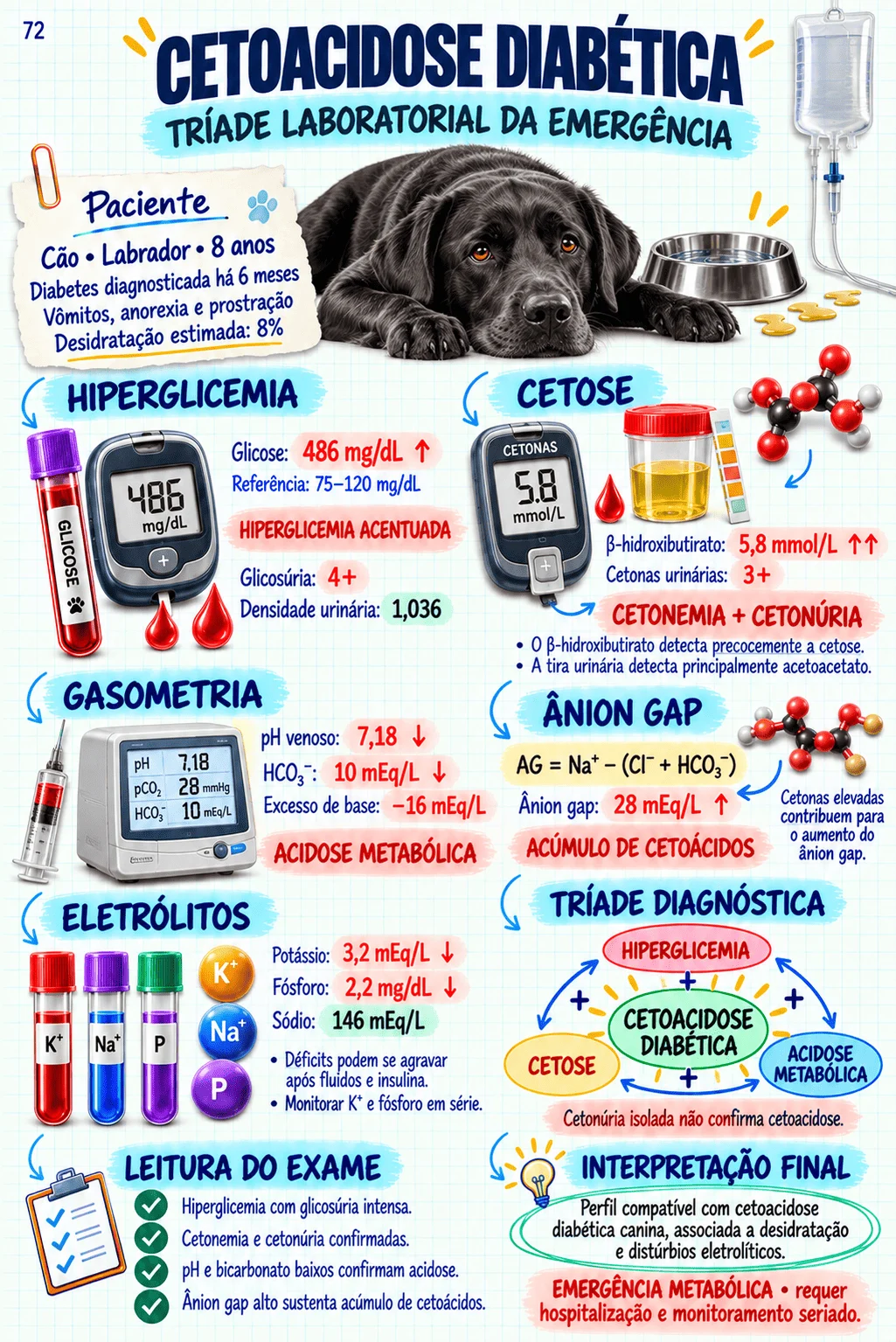 Prévia do material de Exames Veterinários